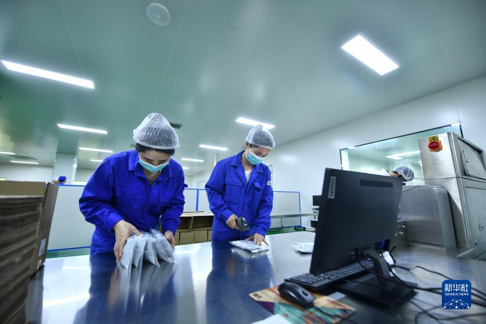 游戏神秘海城